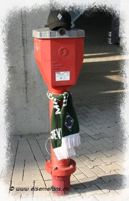 Mönchengladbach Borussiapark - Hydrant - Birdsill Holly